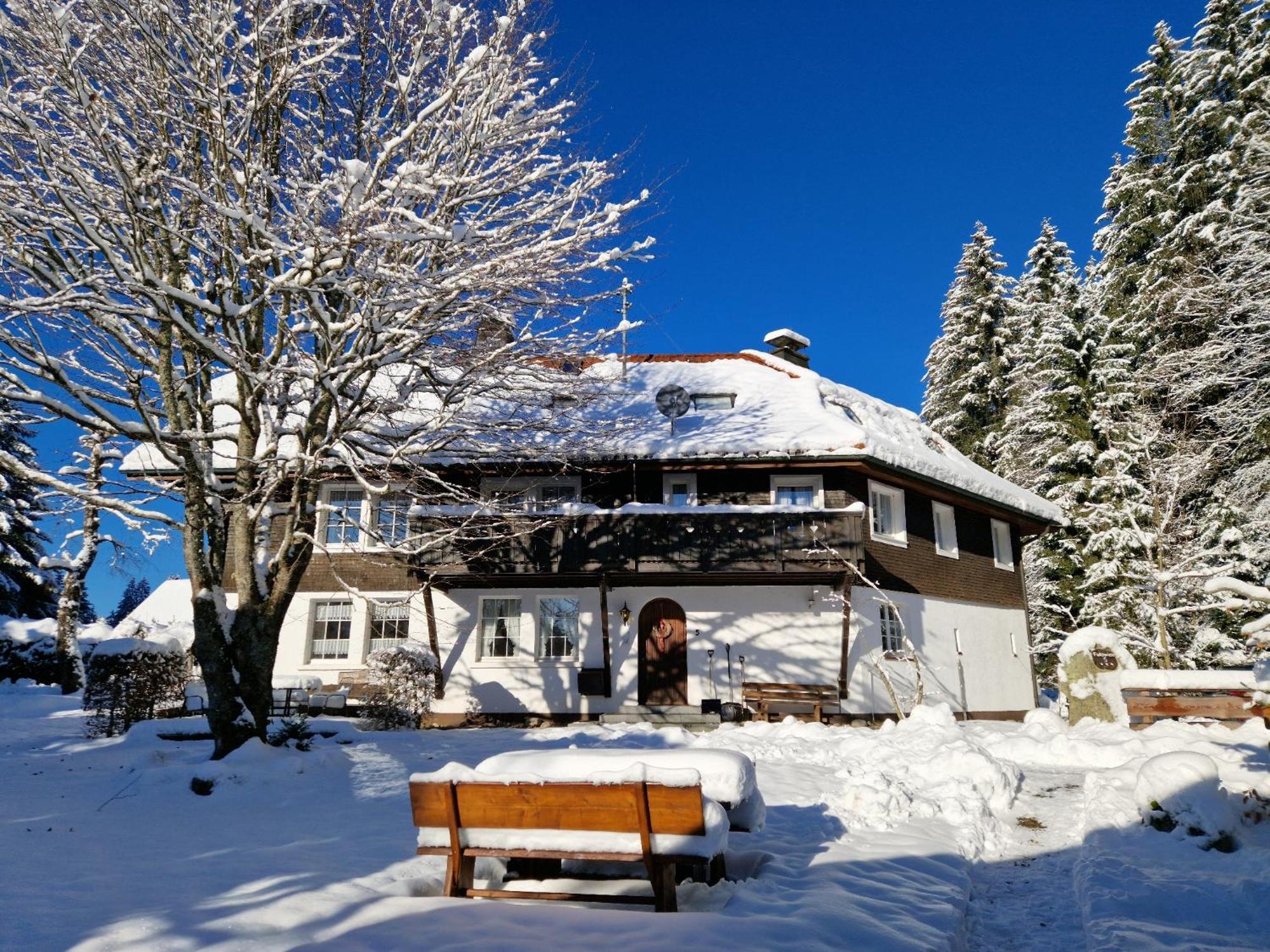 Altes Zollhuesli Villa Schluchsee Eksteriør billede