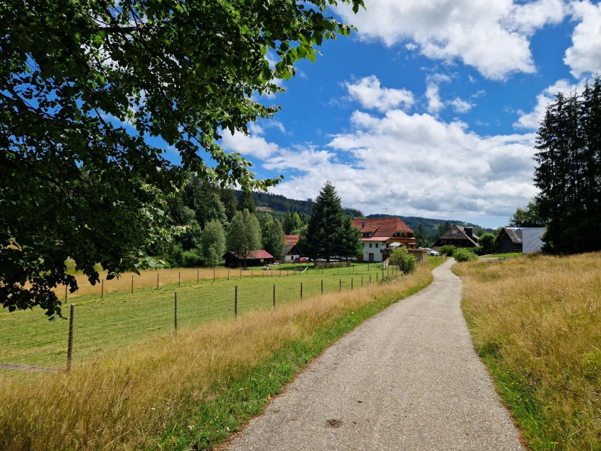Altes Zollhuesli Villa Schluchsee Eksteriør billede