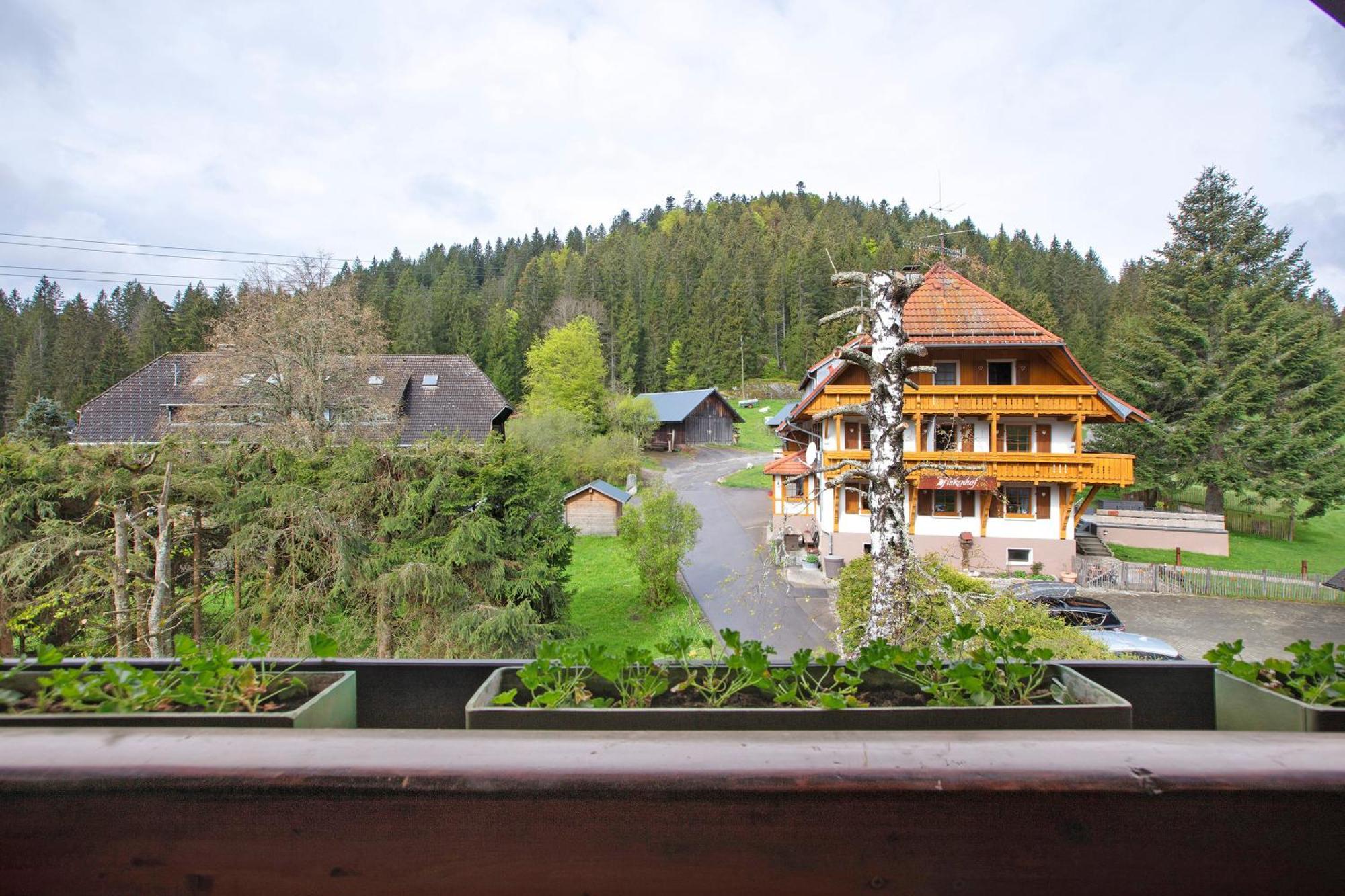 Altes Zollhuesli Villa Schluchsee Eksteriør billede