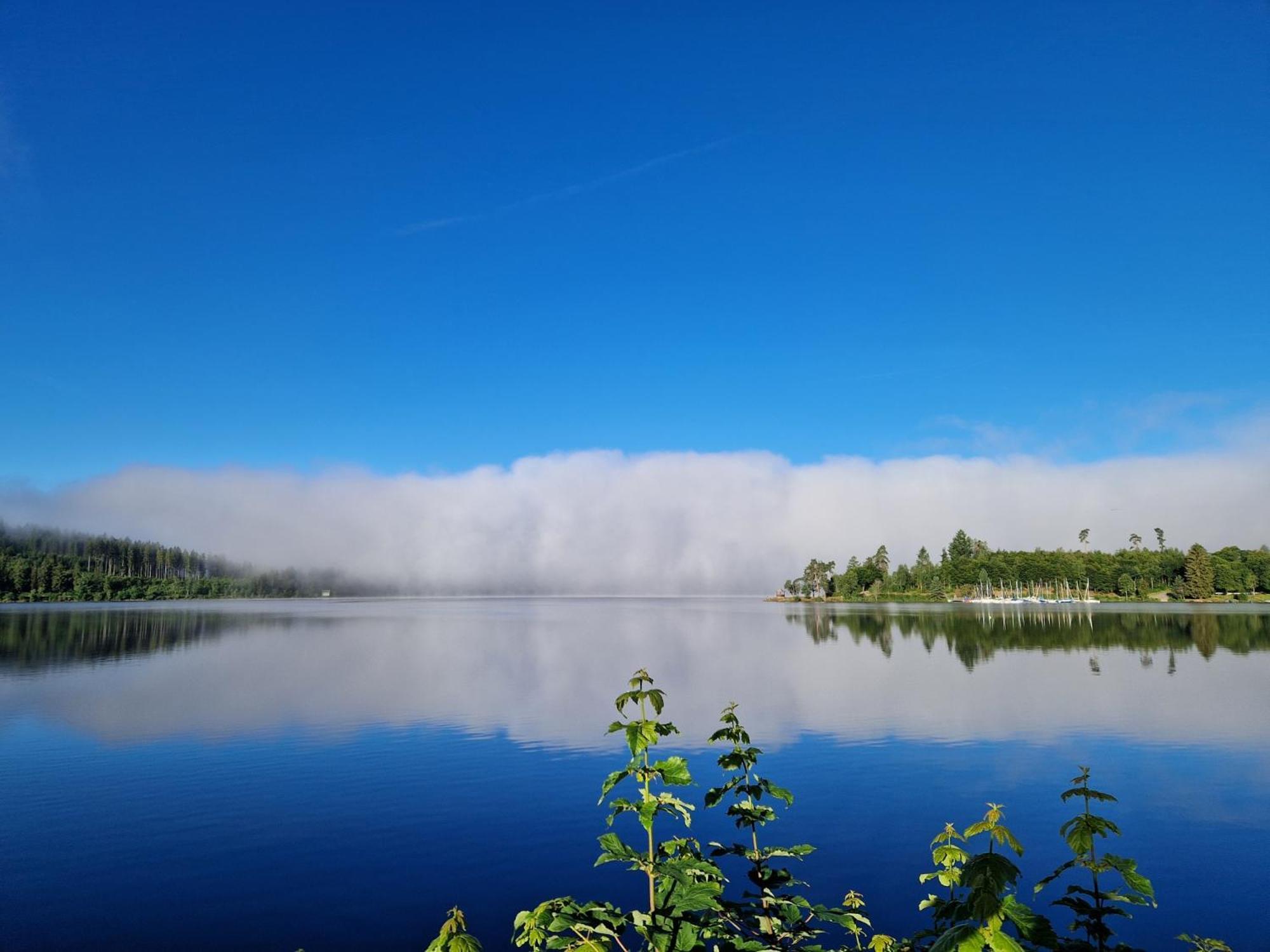 Altes Zollhuesli Villa Schluchsee Eksteriør billede